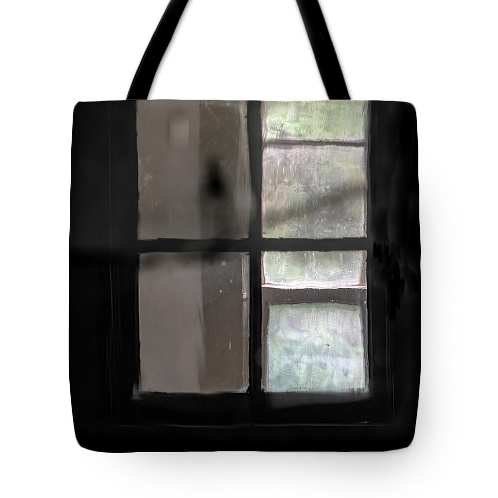 Spofford Lake New Hampshire Tote Bag featuring the photograph Window Light by Tom Singleton