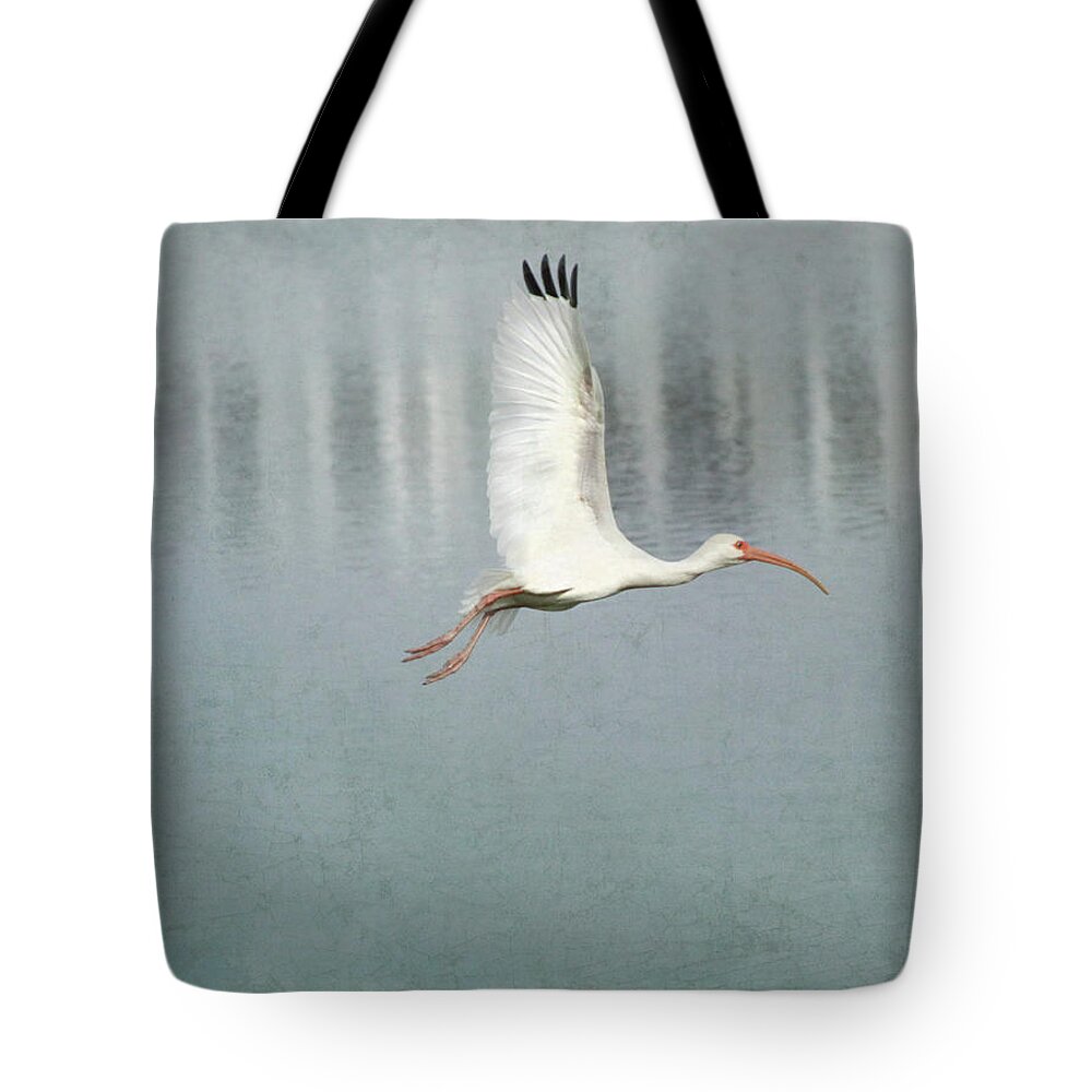 Library Park Tote Bag featuring the photograph Winging Ibis by Kandy Hurley