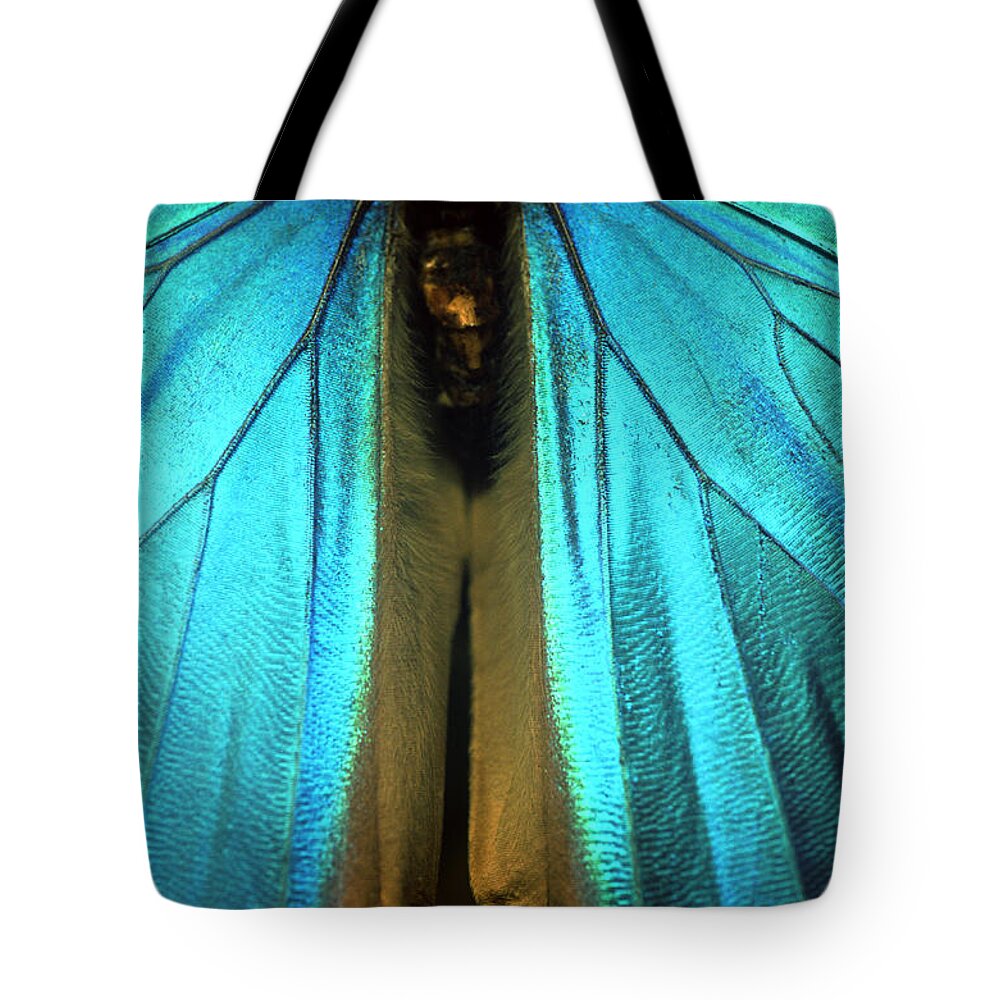 Animal Themes Tote Bag featuring the photograph Wings Of Butterfly by John Foxx