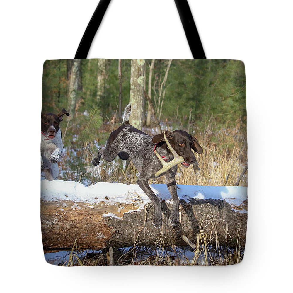 Gsp Tote Bag featuring the photograph Winter Fun by Brook Burling