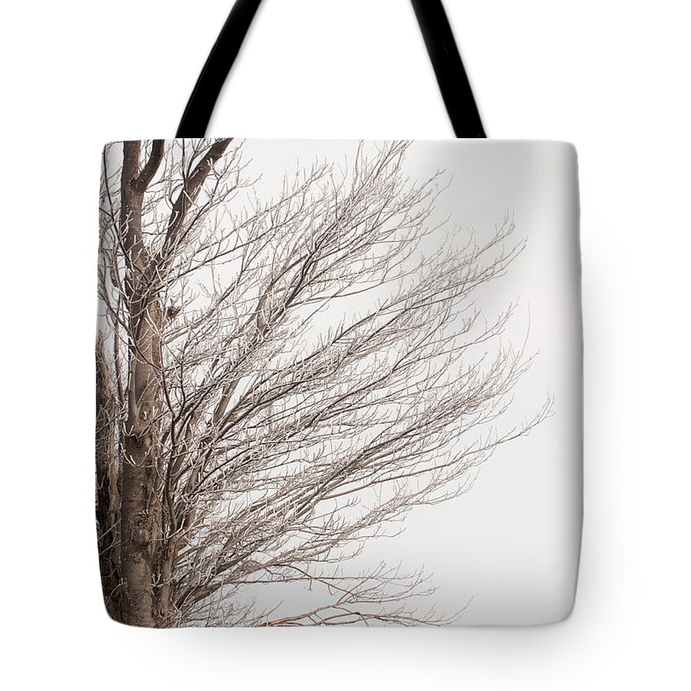Blue Ridge Tote Bag featuring the photograph Winter Hoarfrost by Mark Duehmig