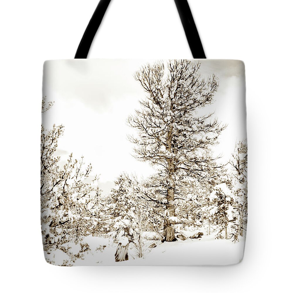 Winter Tote Bag featuring the photograph Winter in the Colorado Rockies by A Macarthur Gurmankin