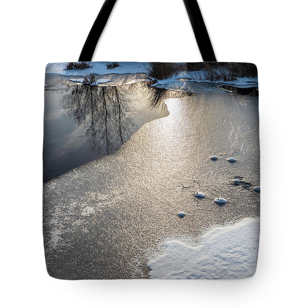Blue Berry Tote Bag featuring the photograph Winter Landscape at Whitesbog by Louis Dallara