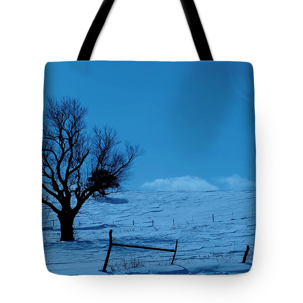 Winter Tote Bag featuring the photograph Winter Moon Light Landscape by Sandra J's