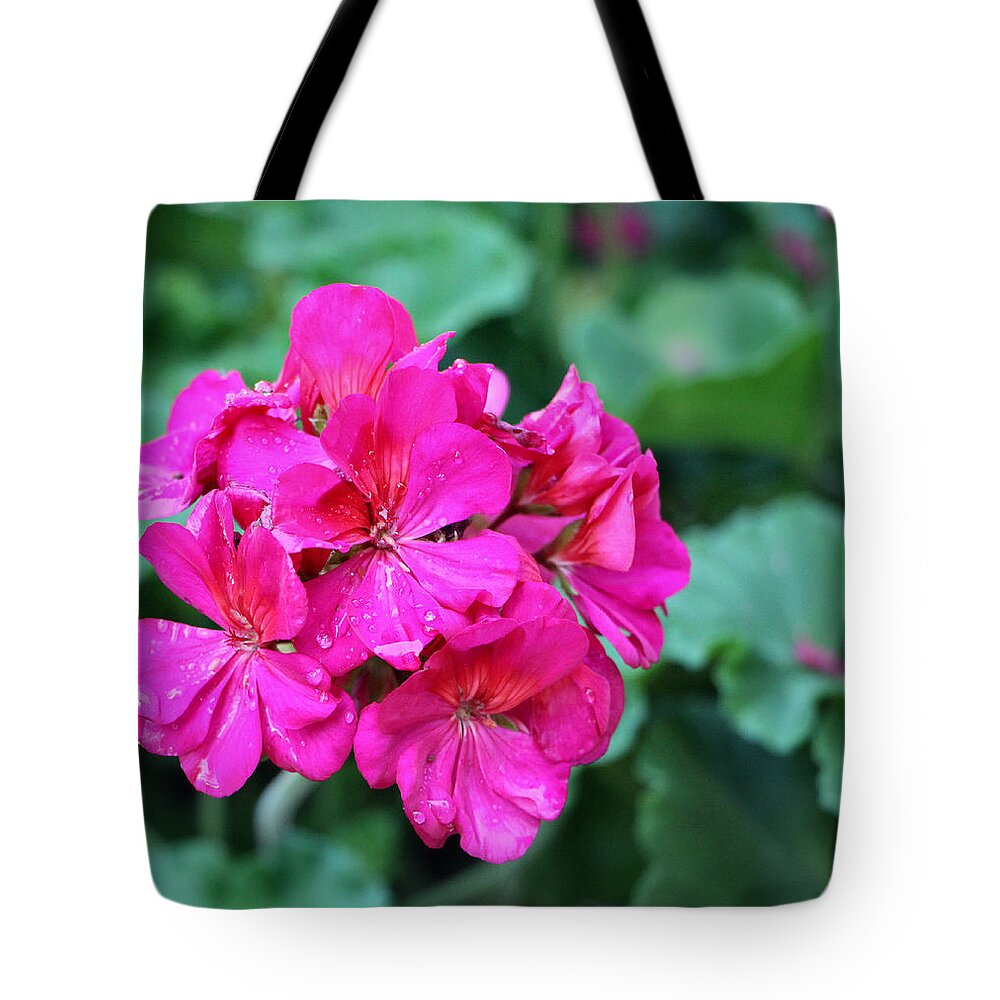 Flower Tote Bag featuring the photograph Winter Park Morning Rain 1 by Lin Grosvenor