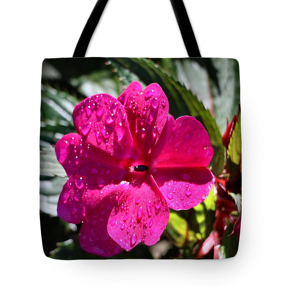 Flower Tote Bag featuring the photograph Winter Park Morning Rain 2 by Lin Grosvenor