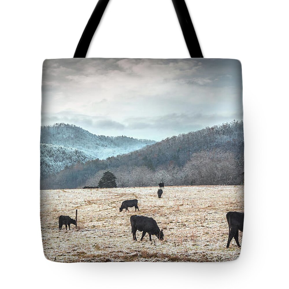 Cows Tote Bag featuring the photograph Winter Pasture by Mike Eingle