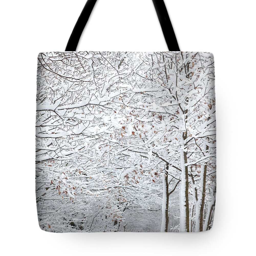 Scenics Tote Bag featuring the photograph Winter Path by Macroworld