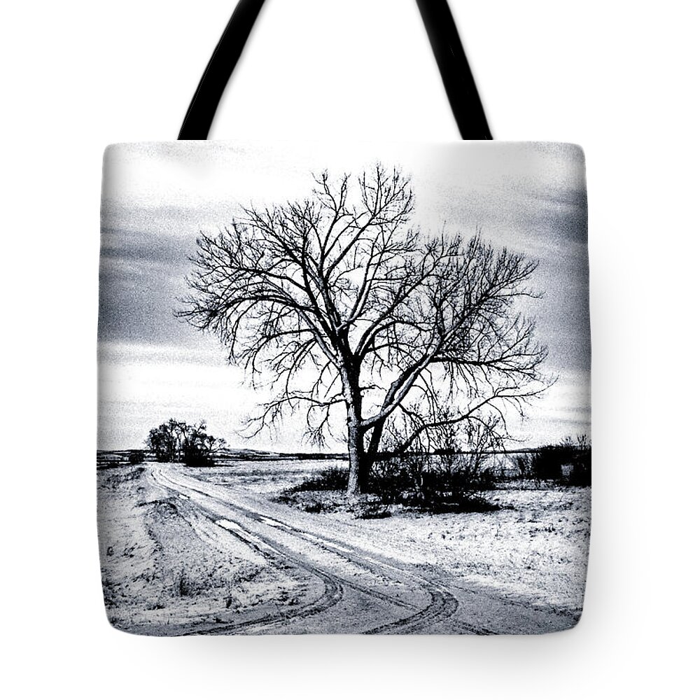 North Dakota Tote Bag featuring the photograph Winter Prairie Road by Steve Lucas