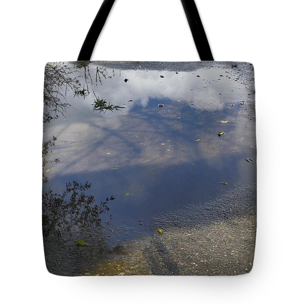 Winter Tote Bag featuring the photograph Winter Reflections by Richard Thomas