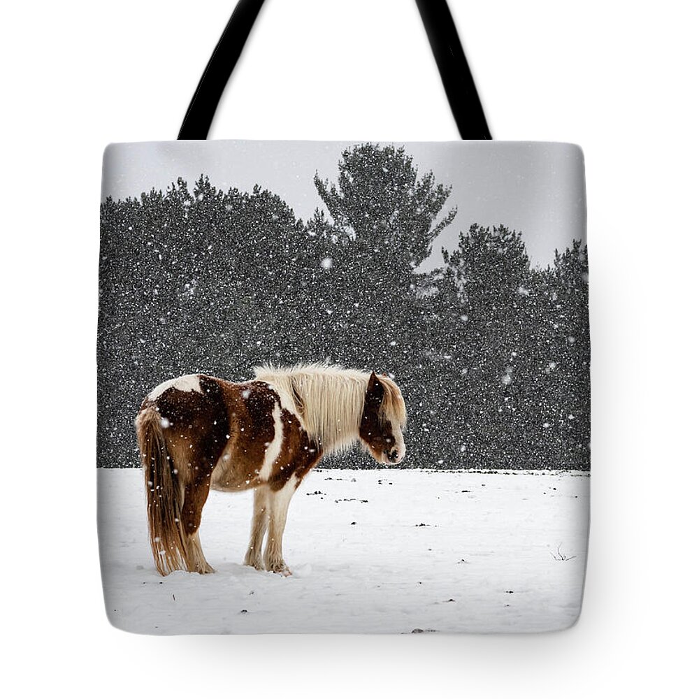 Horse Tote Bag featuring the photograph Winter Snows by Jody Partin