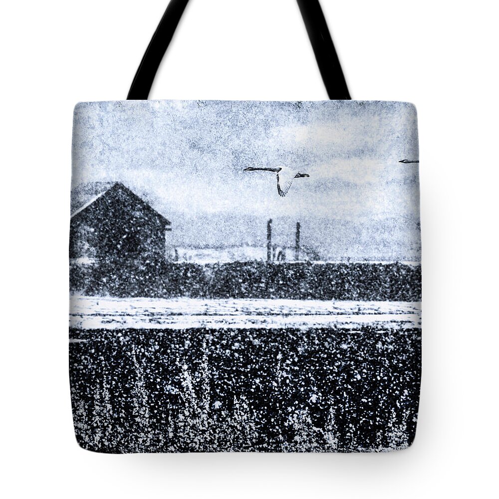 Winter Tote Bag featuring the digital art Winter Swans by Ken Taylor
