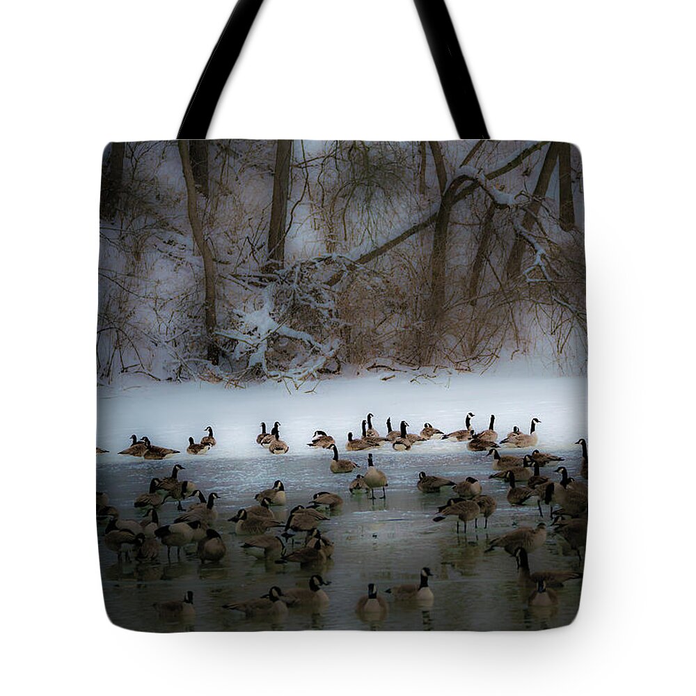 Heron Haven Tote Bag featuring the photograph Winter Swim by Ed Peterson