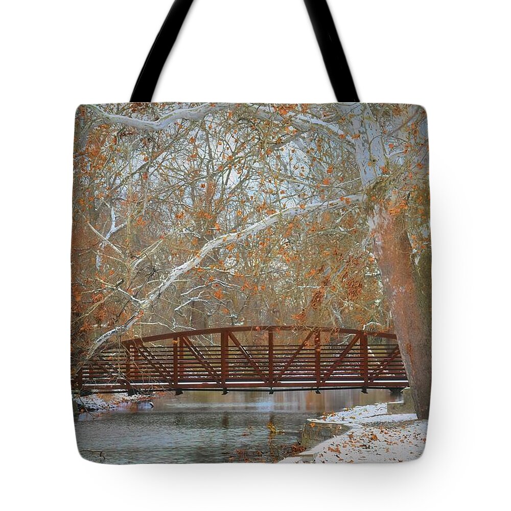  Tote Bag featuring the photograph Winter Sycamores by Jack Wilson