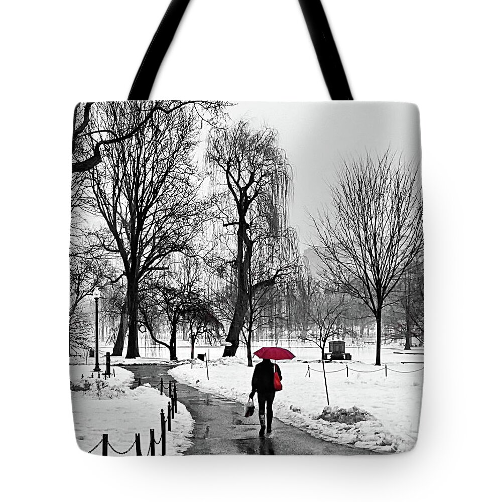 Winter Tote Bag featuring the photograph Winter Walk on a Rainy Day by Lyuba Filatova