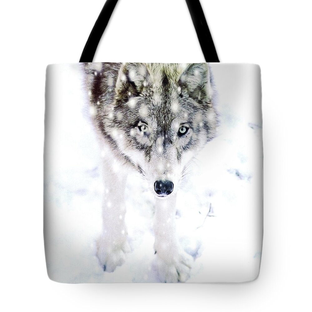 Snow Tote Bag featuring the photograph Winter Wolf by Alison Archinuk