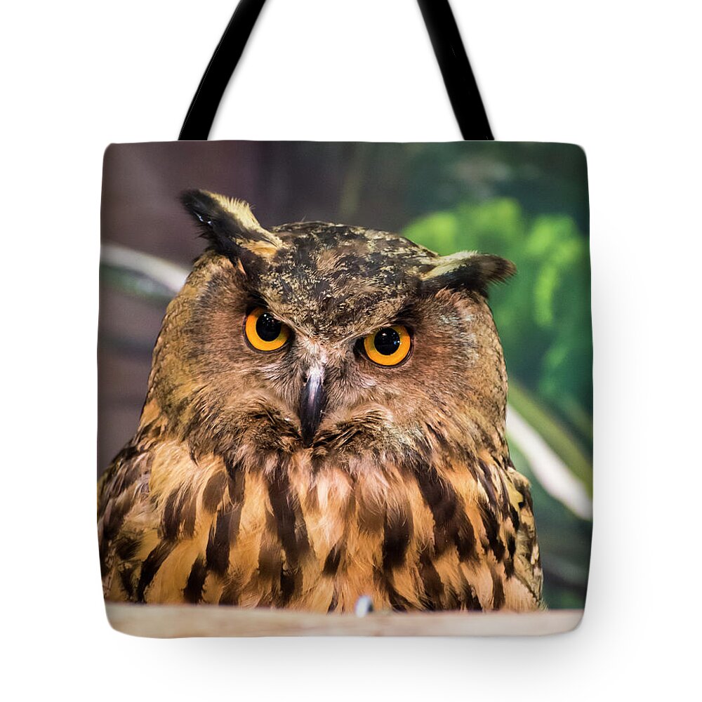 Owl Tote Bag featuring the photograph Wisdom in Adversity by Alex Lapidus