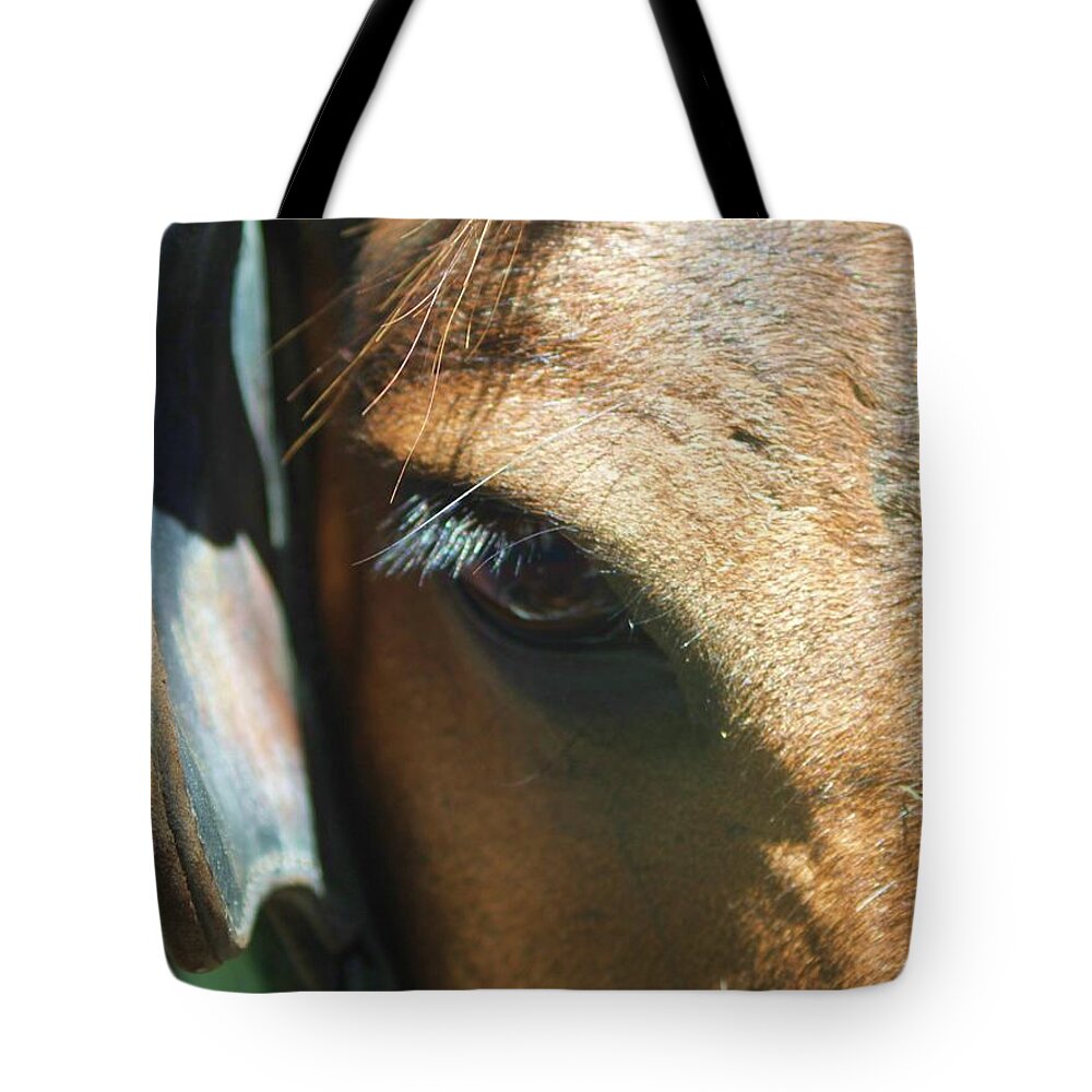 Horse Tote Bag featuring the photograph Wise Eye by Fred Bailey