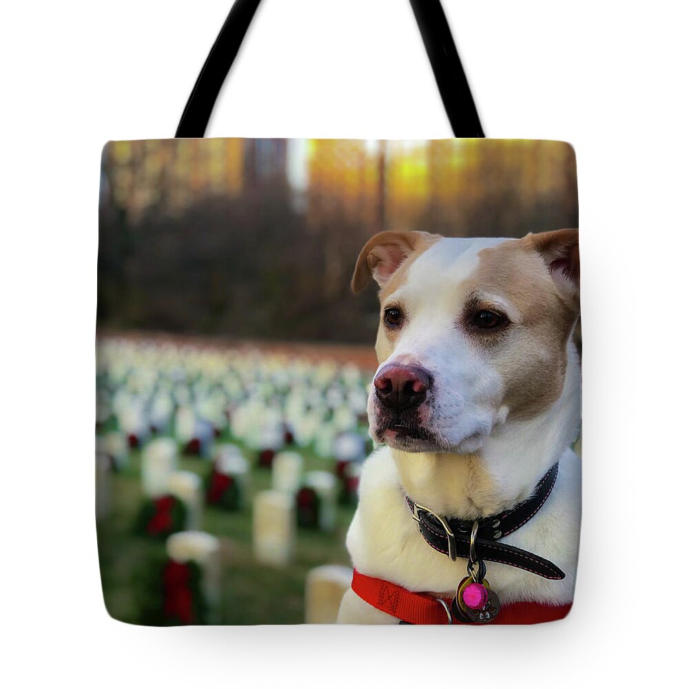 Dog Tote Bag featuring the photograph With Respect by Lora J Wilson