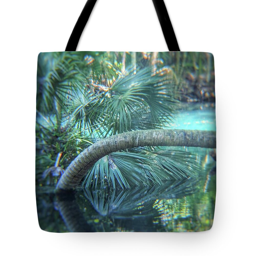 Trees Tote Bag featuring the photograph Witnessing Nature by Portia Olaughlin