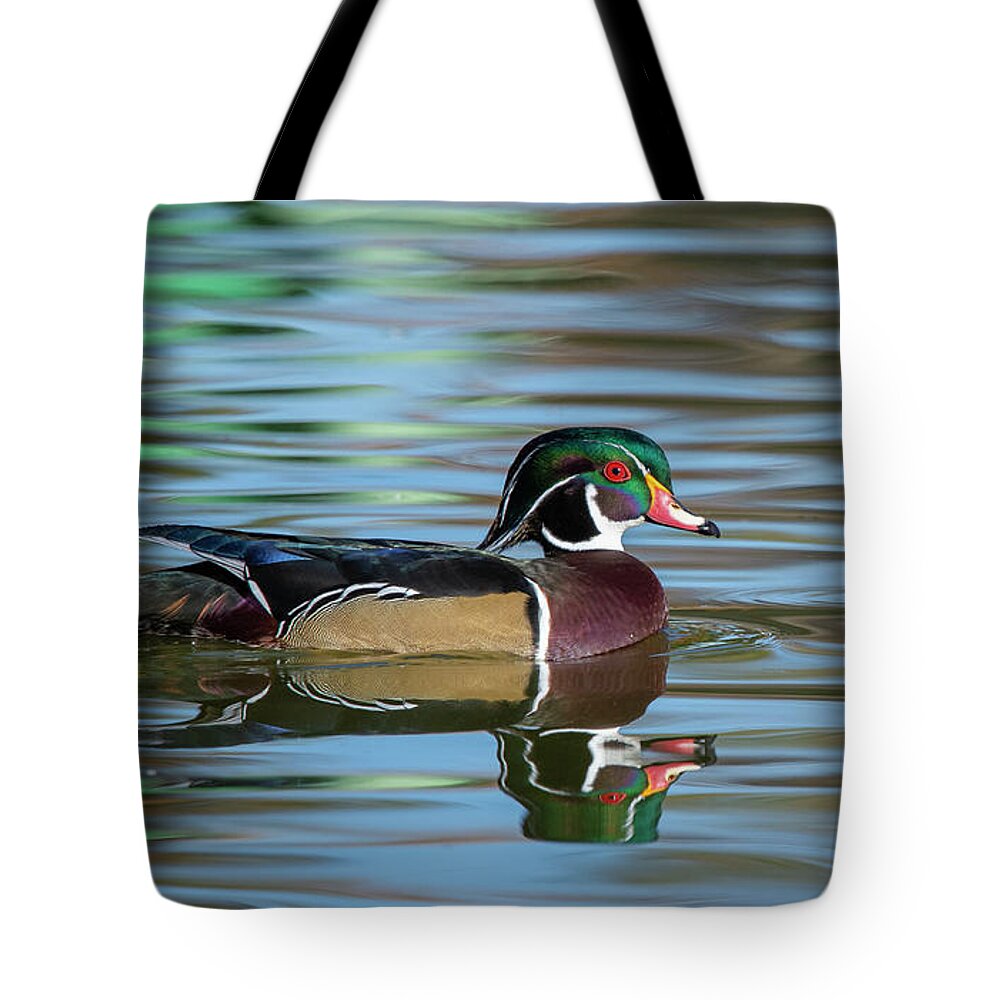 Wood Duck Tote Bag featuring the photograph Wood Duck 1 by Rick Mosher
