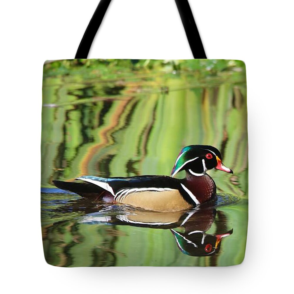 Bird Tote Bag featuring the photograph Wood Duck Reflection 2 by Todd Kreuter