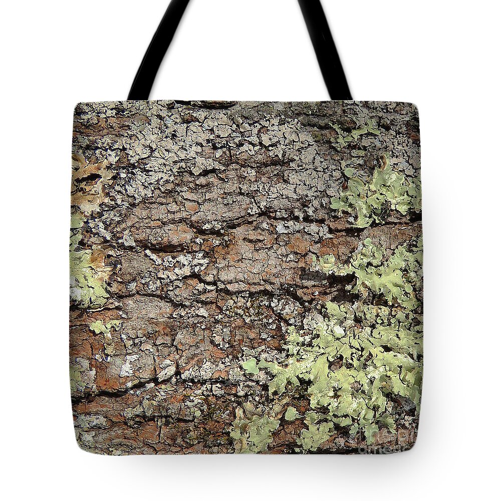 Photography Tote Bag featuring the photograph Woodland 128 by Amy E Fraser