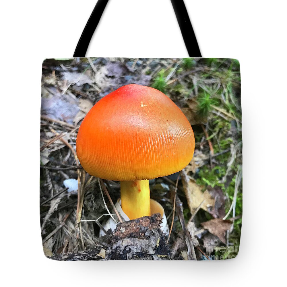 Photography Tote Bag featuring the photograph Woodland 33 by Amy E Fraser