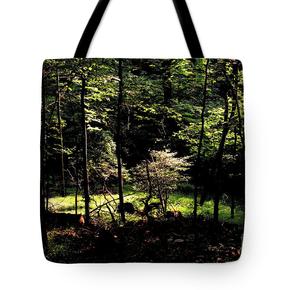 Forest Tote Bag featuring the photograph Woodland Calm - No. 17 by Steve Ember