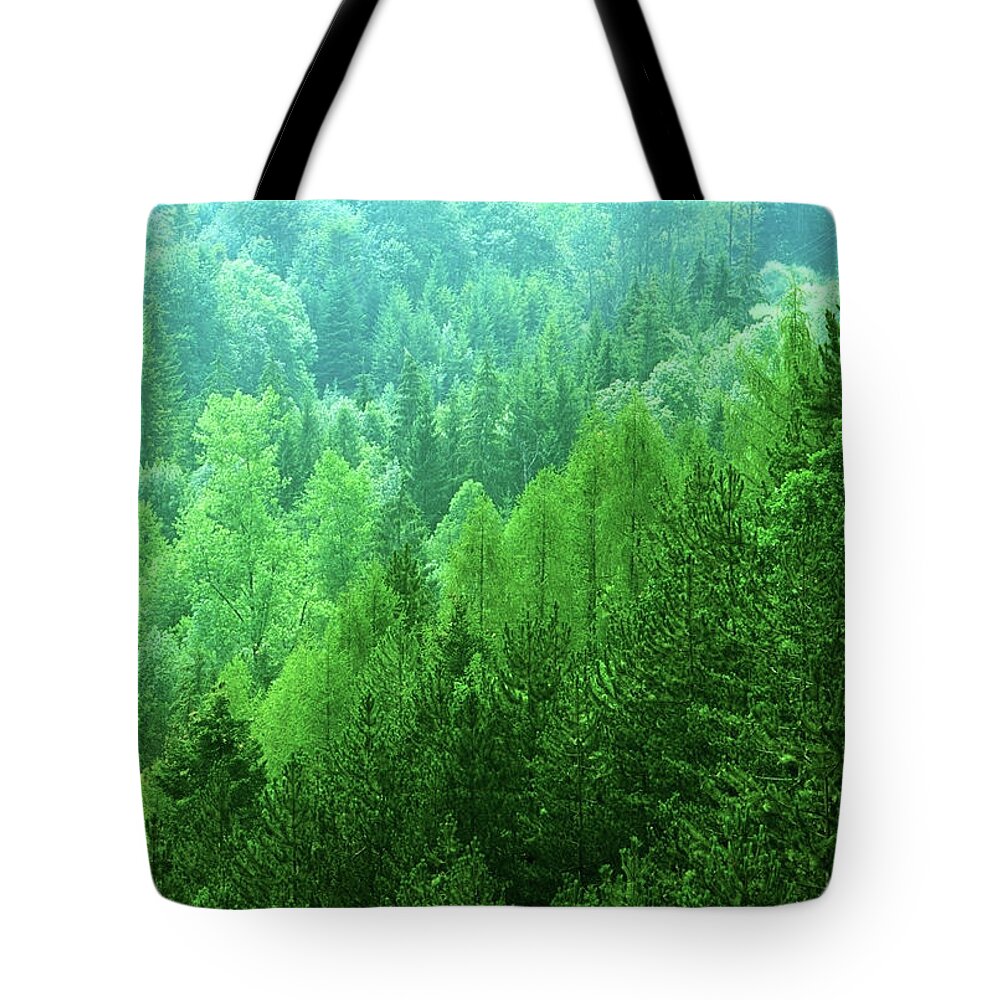Scenics Tote Bag featuring the photograph Woodland by Kodachrome25