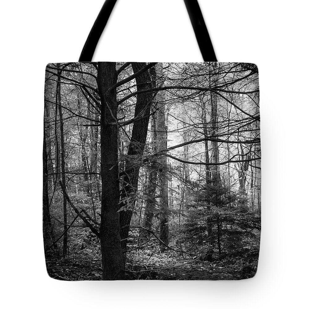 Forest Tote Bag featuring the photograph Woodland Scene by Mike Eingle