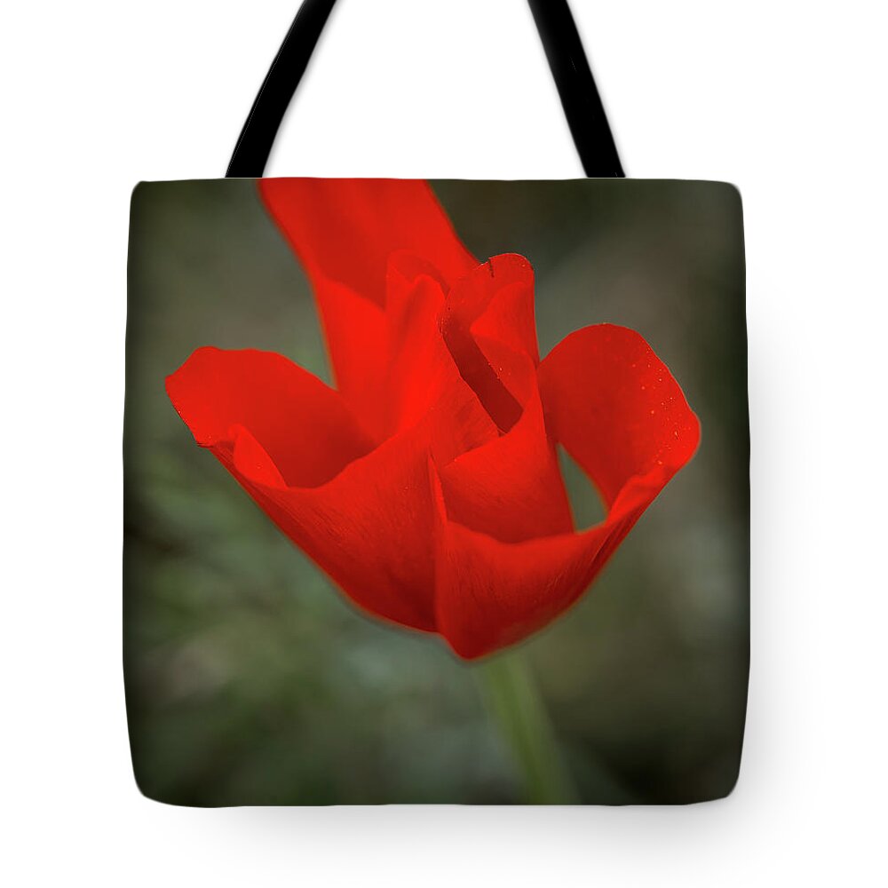 Poppy Tote Bag featuring the photograph Wrapped Pedals by Aaron Burrows