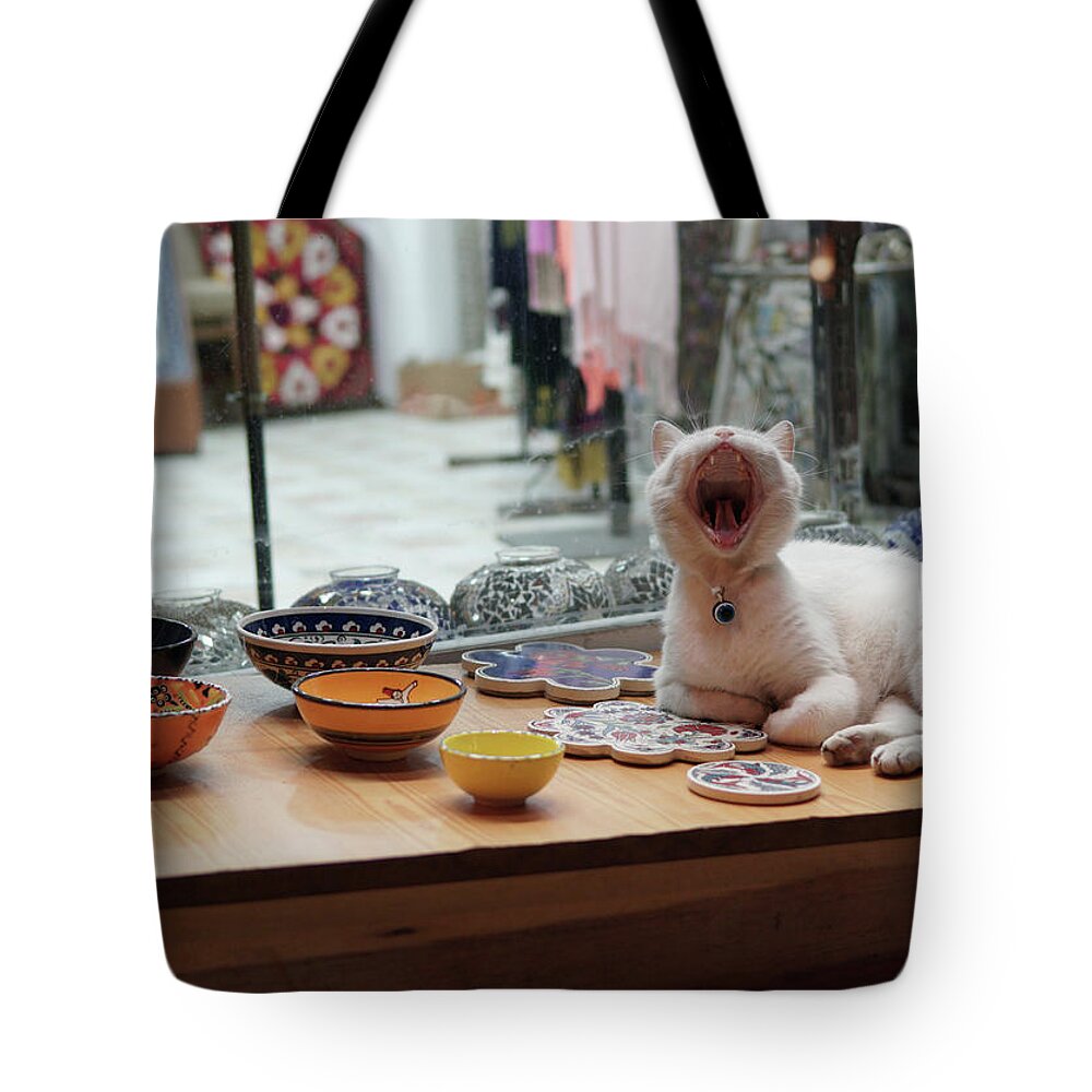 Cat Tote Bag featuring the photograph Yawning Cat by Nick Mares