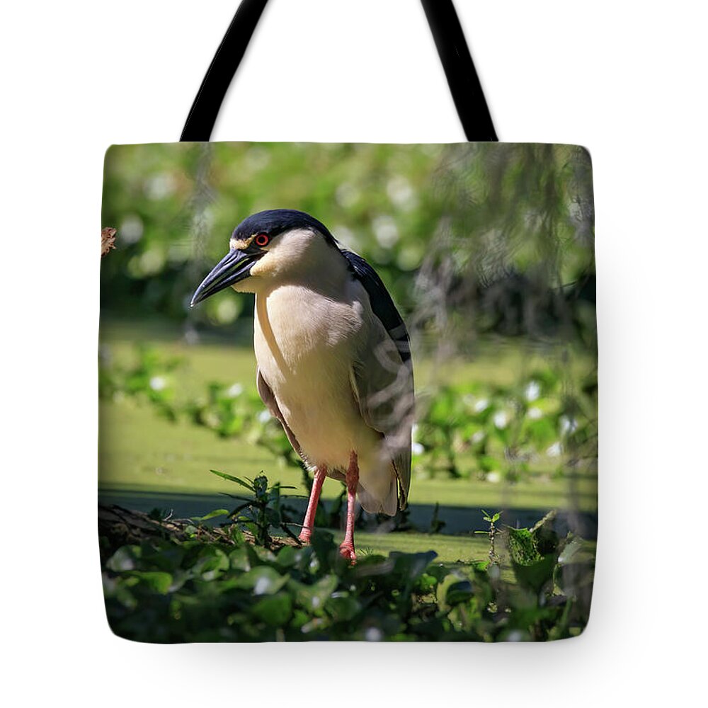 Yellow Crown Night Heron Tote Bag featuring the photograph Yellow Crown Night Heron by JASawyer Imaging