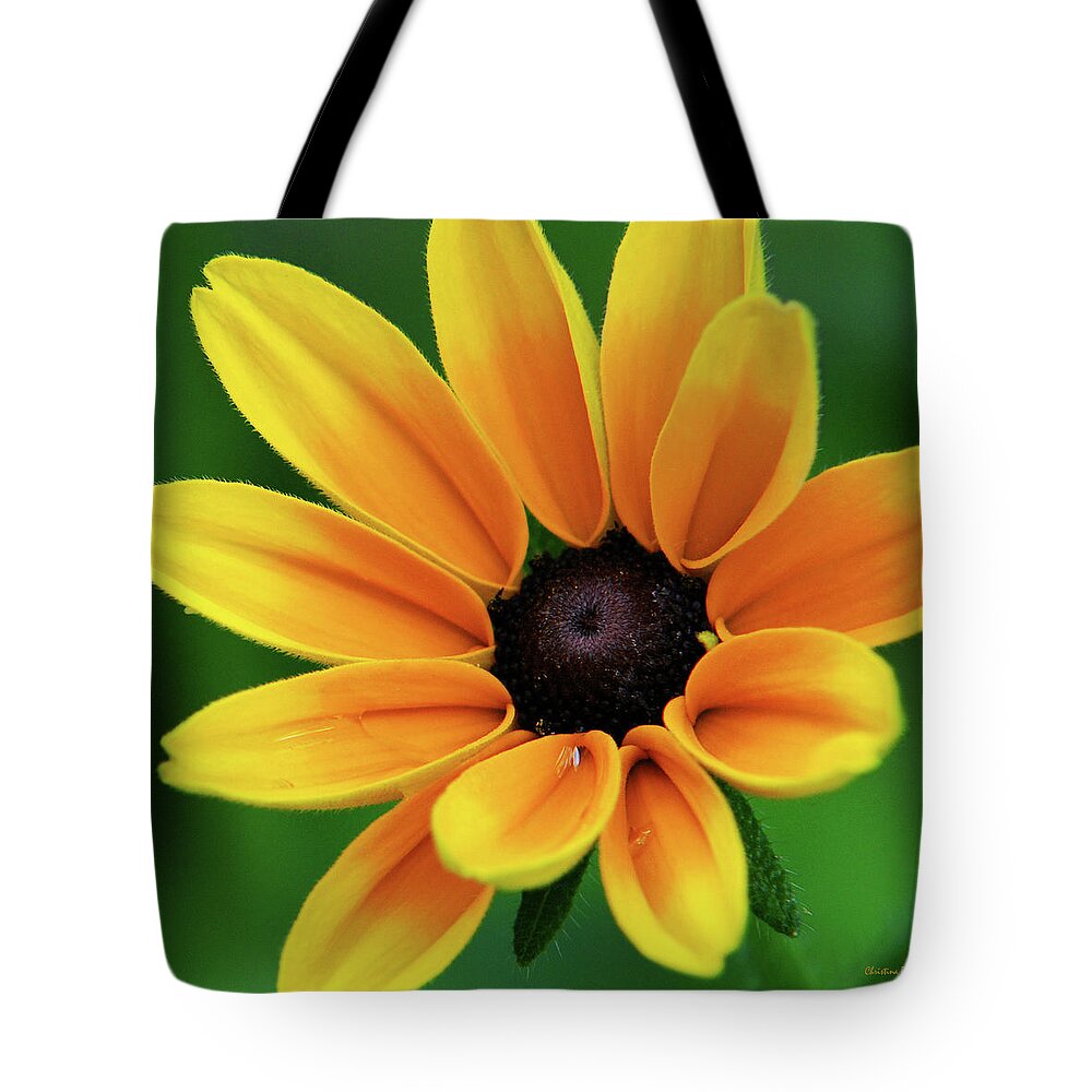 Yellow Flowers Tote Bag featuring the photograph Yellow Flower Black Eyed Susan by Christina Rollo