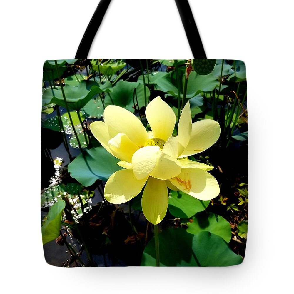Yellow Tote Bag featuring the photograph Yellow Flower by Joe Roache