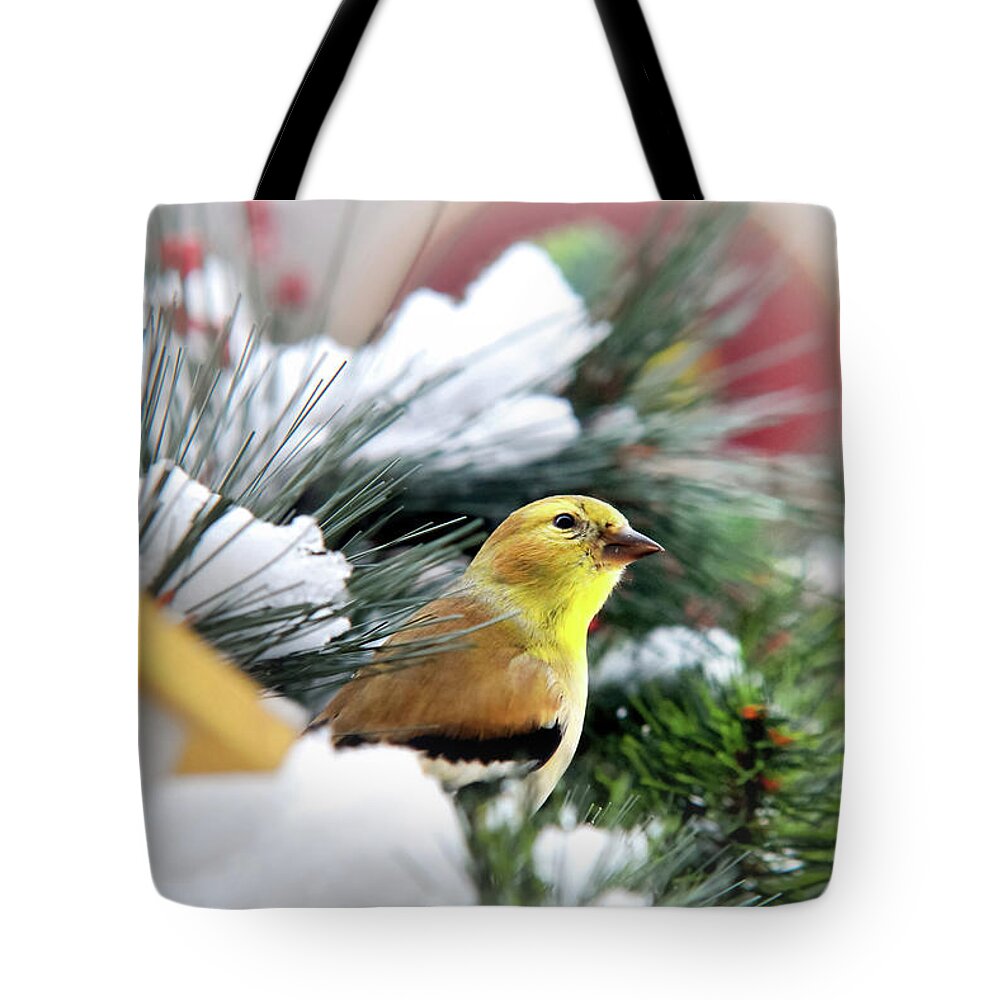 Bird Tote Bag featuring the photograph Yellow Goldfinch by Christina Rollo