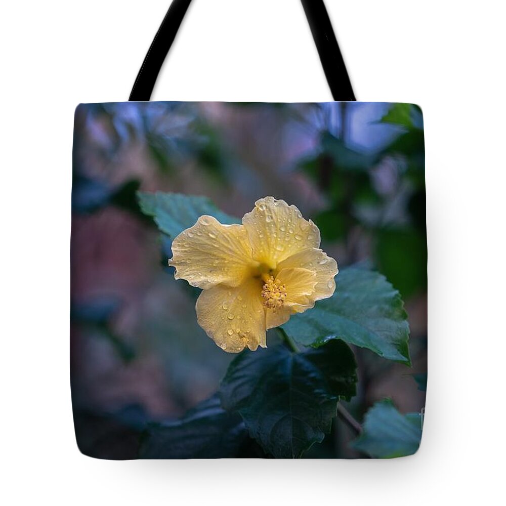 Hibiscus Tote Bag featuring the photograph Yellow Hibiscus by Susan Rydberg