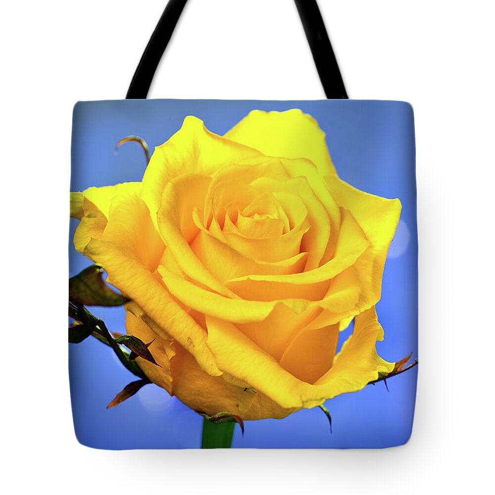 Slovenia Tote Bag featuring the photograph Yellow Rose by © Karmen Smolnikar