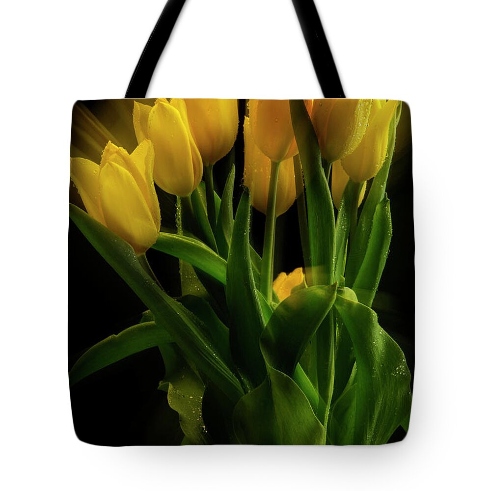 Tulips Tote Bag featuring the photograph Yellow Tulips in the Wind by Frederic A Reinecke
