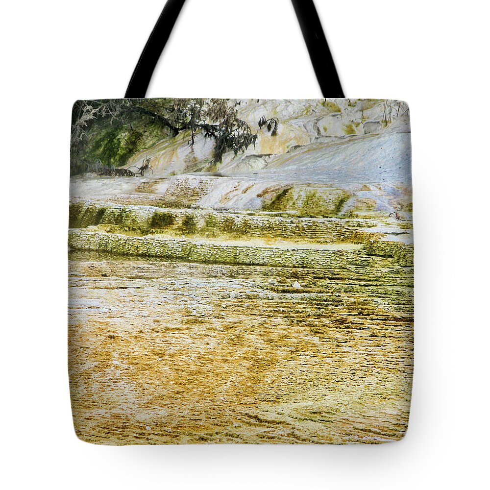 National Parks And Monuments Tote Bag featuring the photograph Yellowstone 4 by Segura Shaw Photography