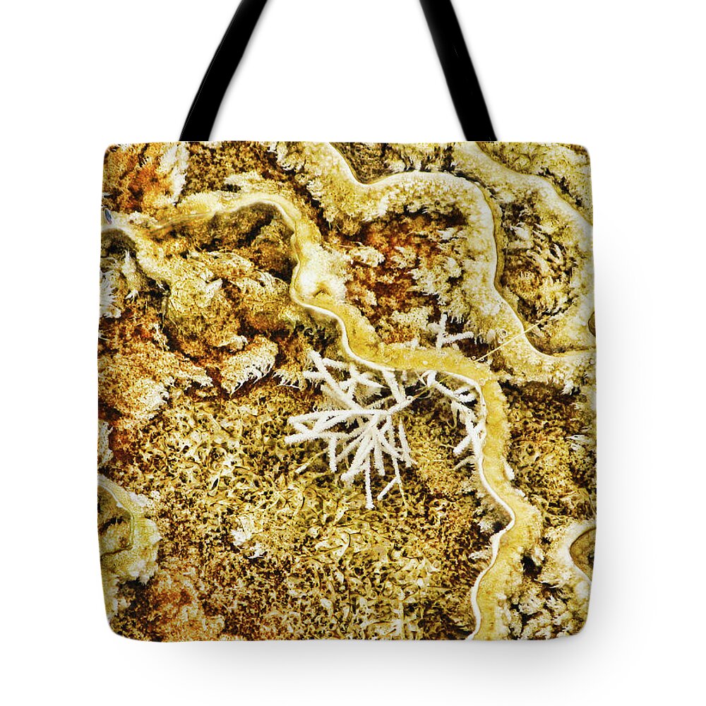 Abstract Tote Bag featuring the photograph Yellowstone 6 by Segura Shaw Photography