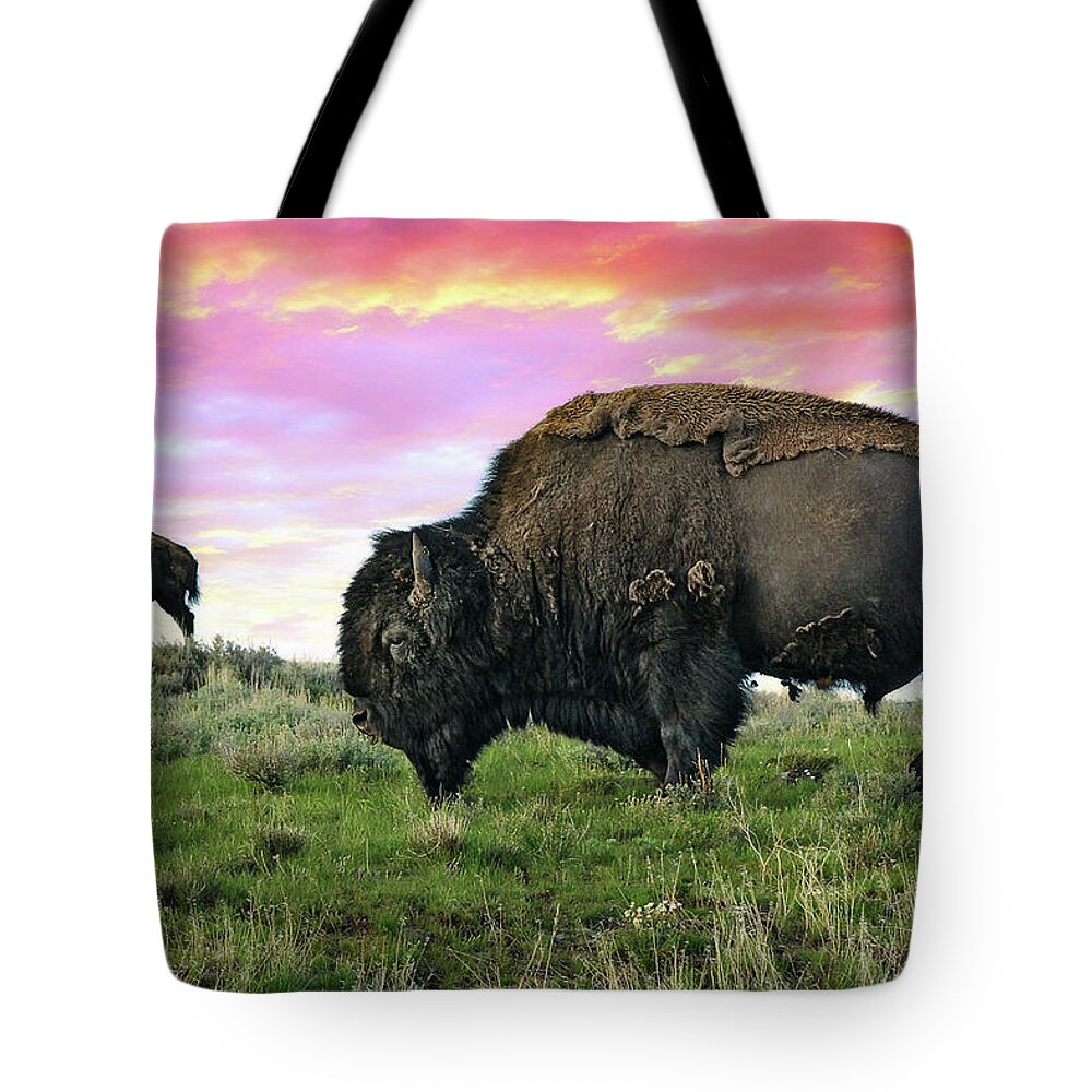 Grass Tote Bag featuring the photograph Yellowstone Buffalo & Bison by Dan Anderson