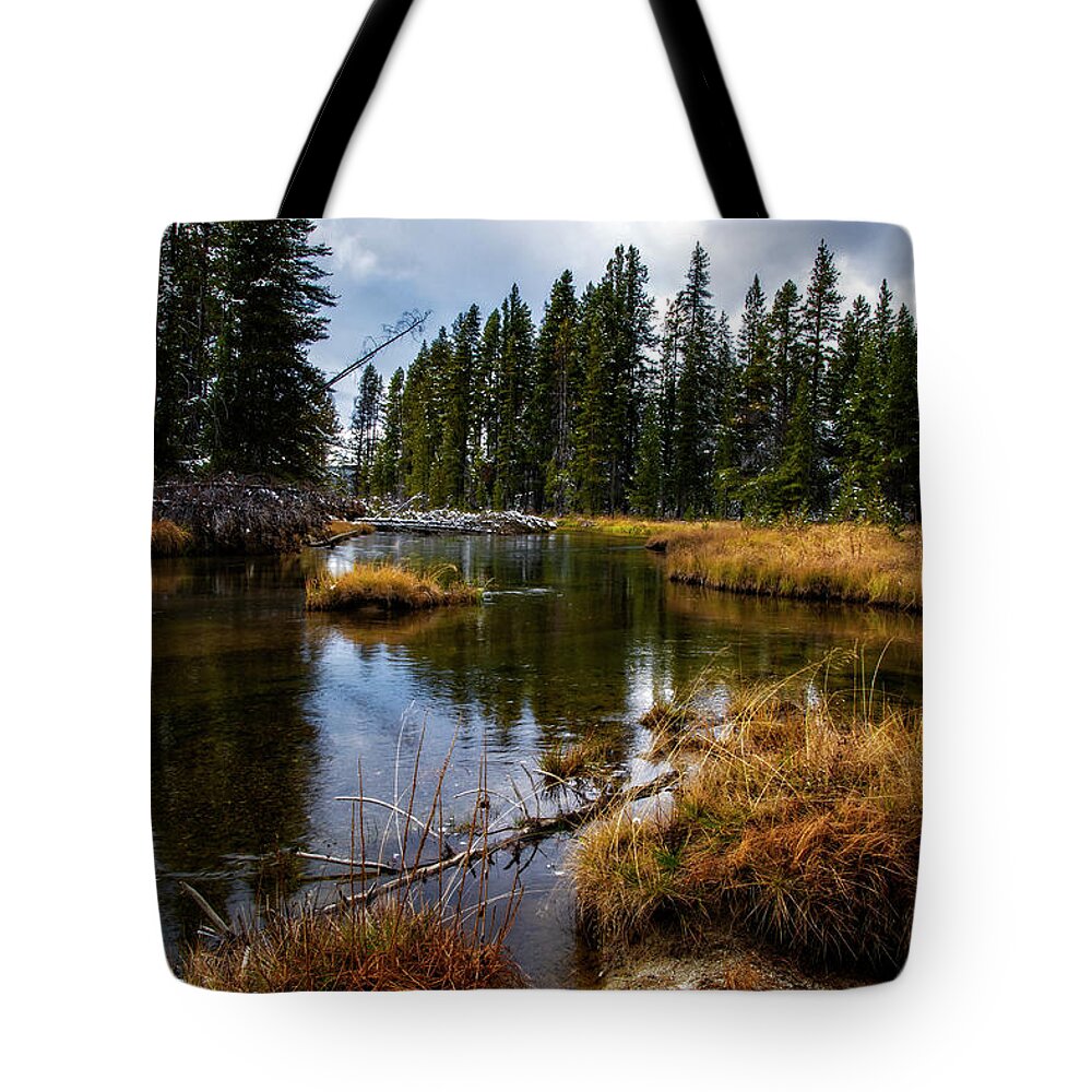  Yellowstone Tote Bag featuring the photograph Yellowstone National Park by Scott Read