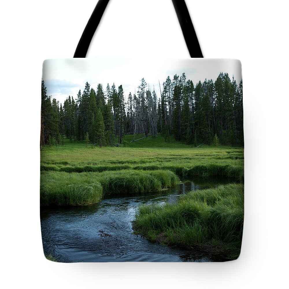 Scenics Tote Bag featuring the photograph Yellowstone River In Summer by Miguelmalo