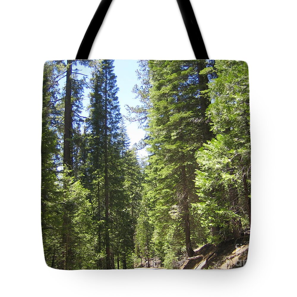 Yosemite Tote Bag featuring the photograph Yosemite National Park Looking at Row After Row of Beautiful Trees Along the Road by John Shiron