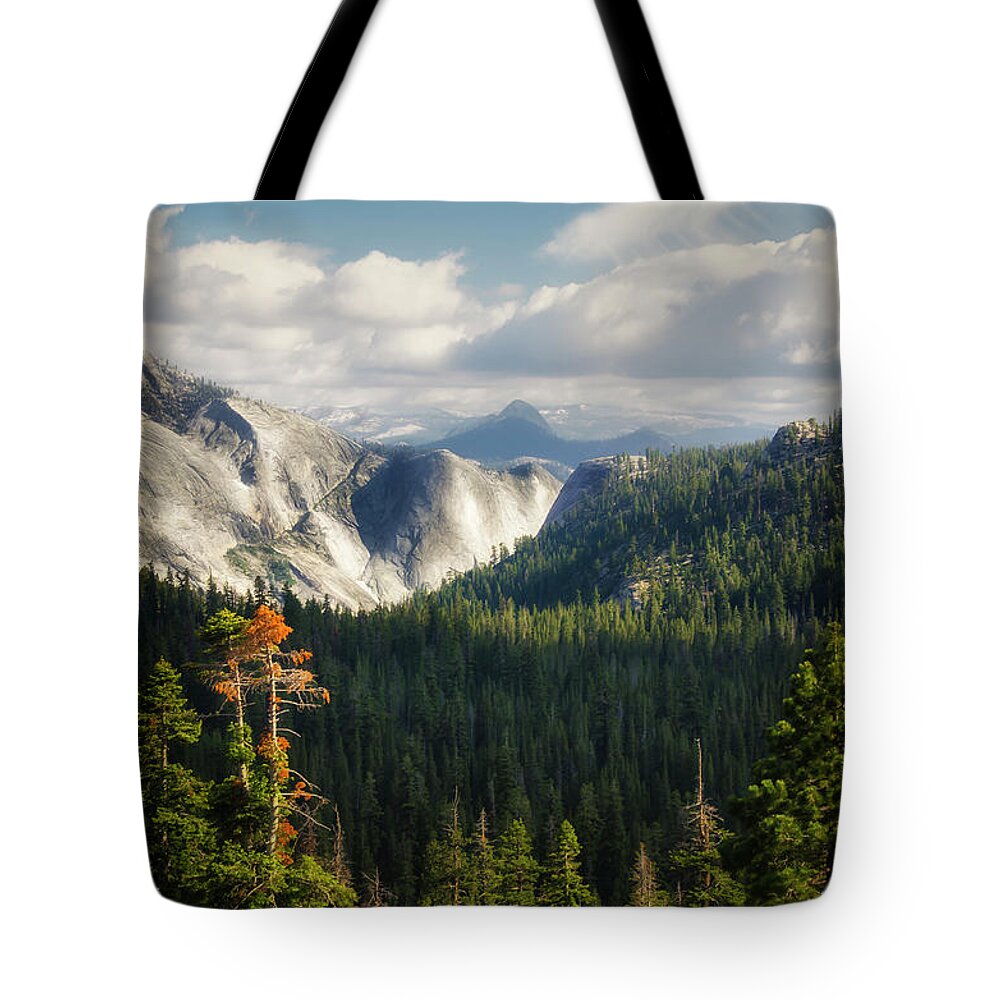 America Tote Bag featuring the photograph Yosemite Valley forest by RicardMN Photography