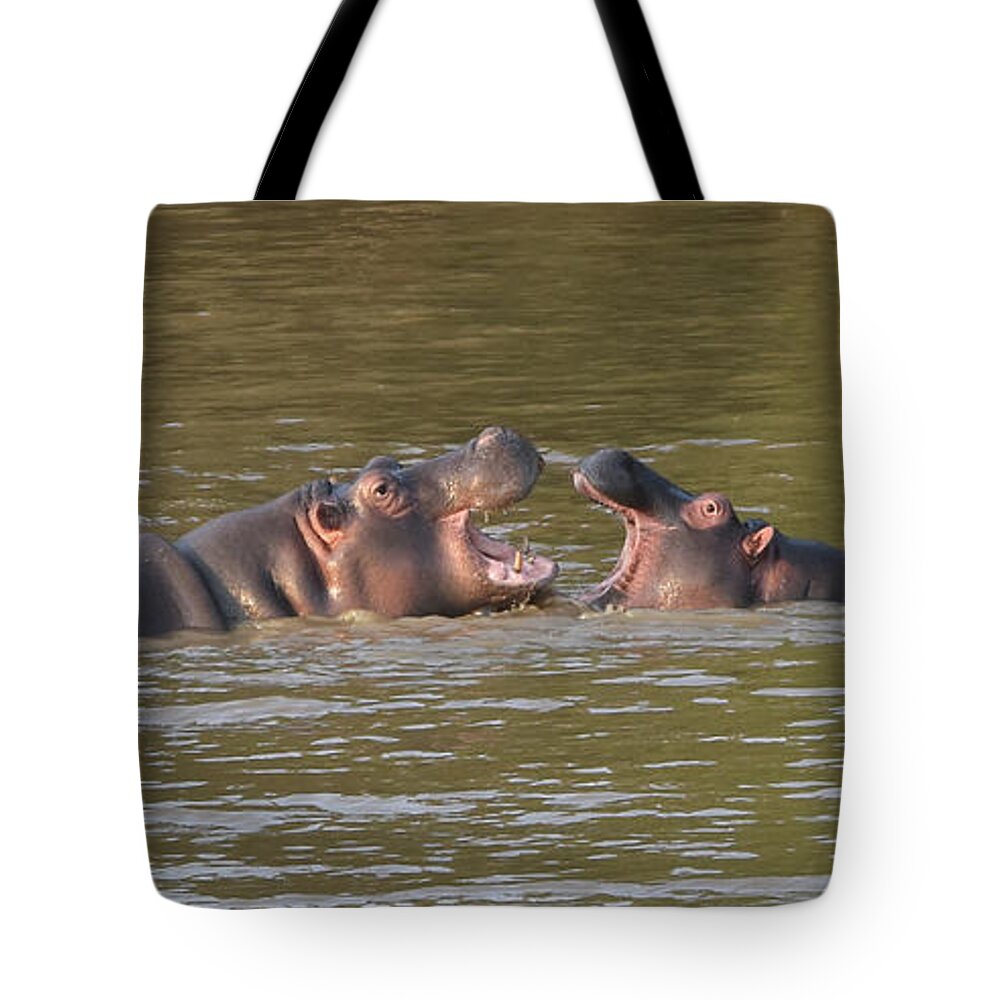 Hippo Tote Bag featuring the photograph Young Hippos at Play by Ben Foster