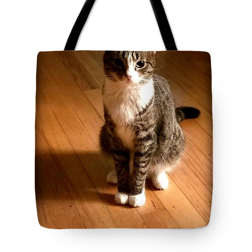 Uther Tote Bag featuring the photograph 'Z aCat by Uther Pendraggin