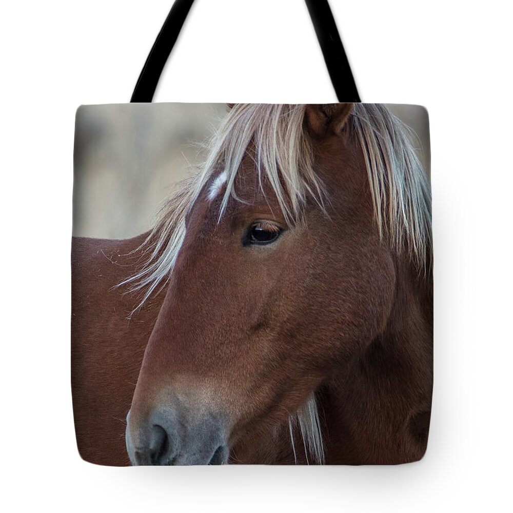 Honey Tote Bag featuring the photograph _z3a9543 by John T Humphrey
